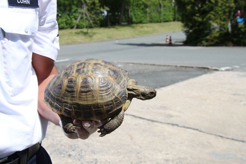 Besuch bei der Polizei