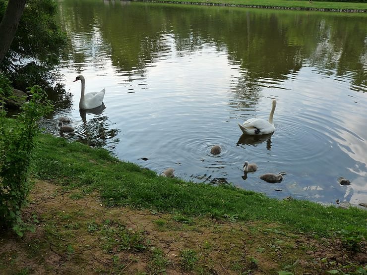Wie f&auml;llt Zwischenfazit aus?