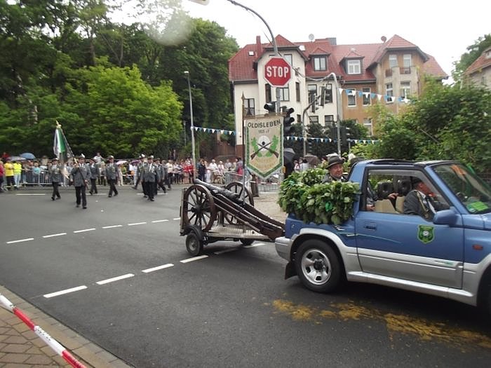 Weitere Bilder Festumzug (1)