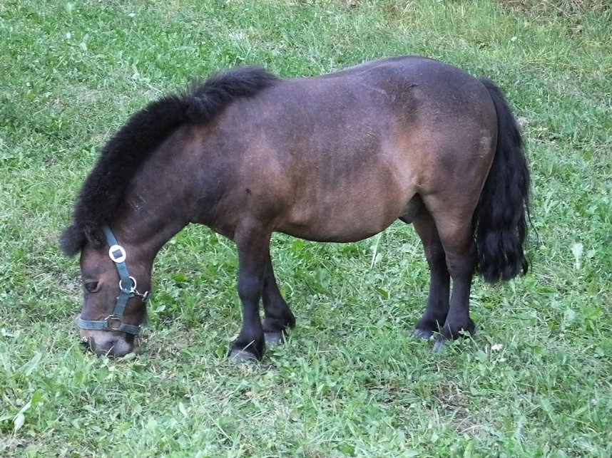 Bauernmarkt in Mackenrode