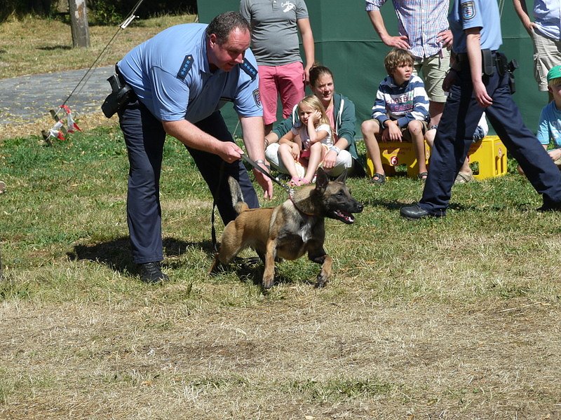 Polizeivorf&uuml;hrungen im Zeltlager der Johanniter