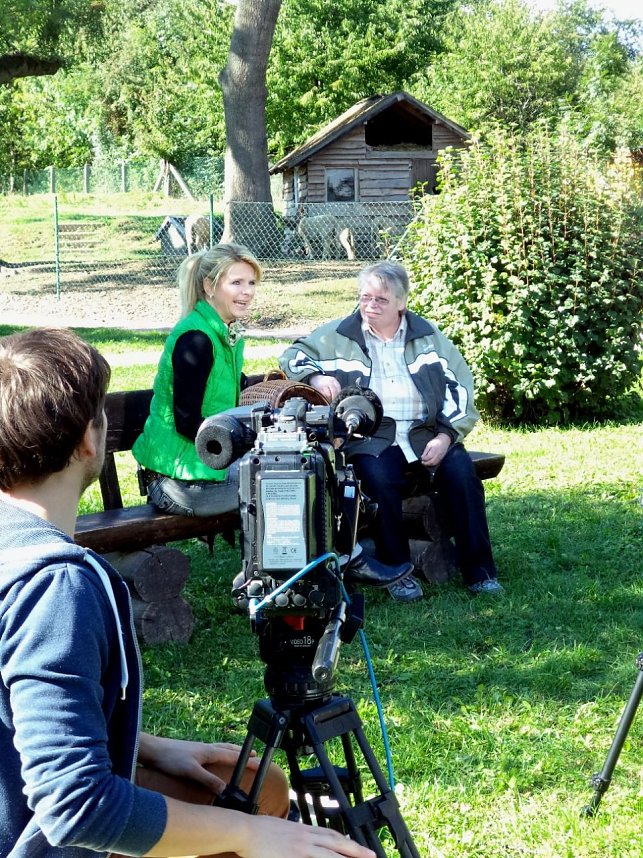 Tierisch Tierisch im Nordh&auml;user Tierheim