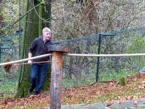 Saubermachen im B&auml;renpark