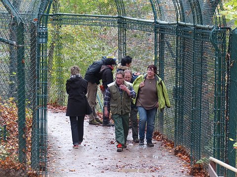Saubermachen im B&auml;renpark