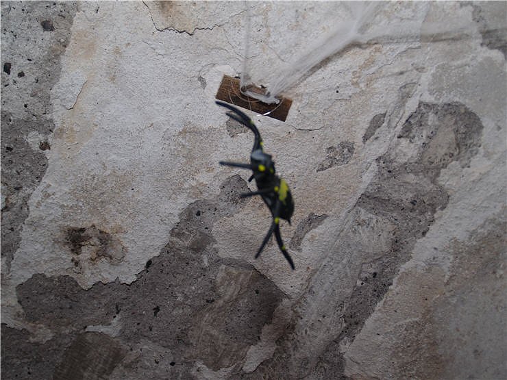 Halloween Party Nordhausen: Fris&ouml;r Jones, Grease, Destille, Schabernack