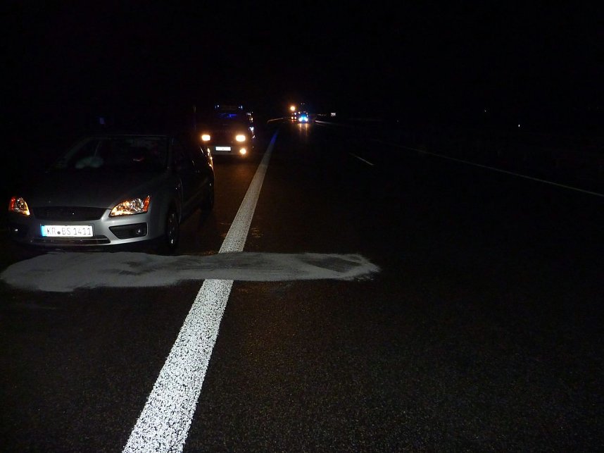 Wildschweine &uuml;berfahren