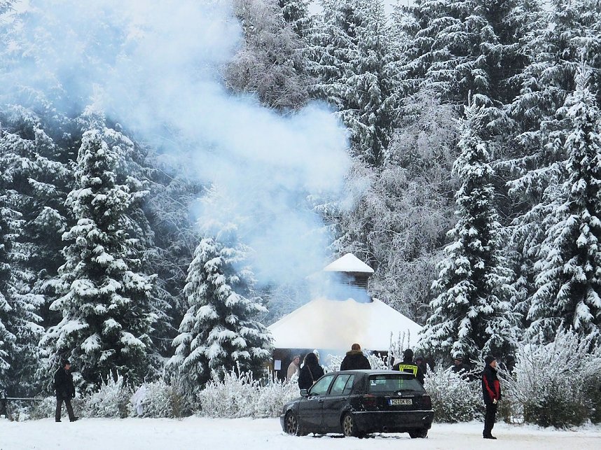 Schlittenhunderennen in Benneckenstein