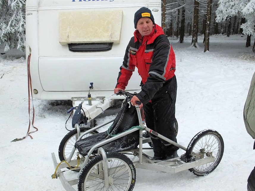 Schlittenhunderennen in Benneckenstein