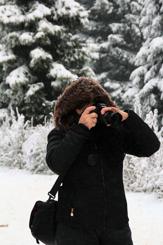 Schlittenhunderennen in Benneckenstein