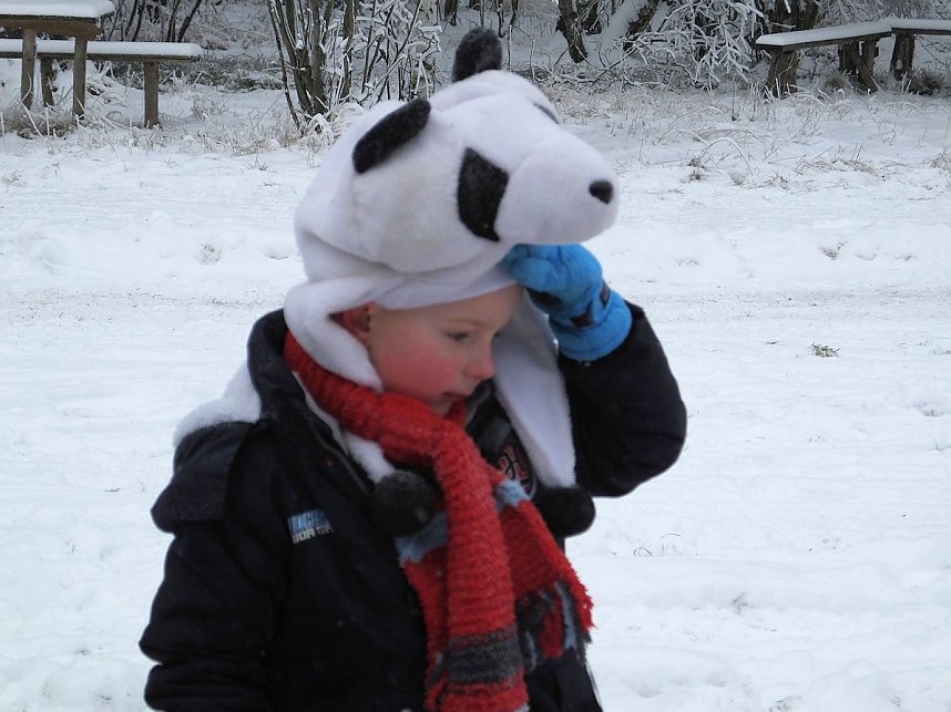 Schlittenhunderennen in Benneckenstein