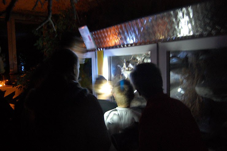 Nanderwanderung im  Nordh&auml;user Zoo nnz-City Scout on Tour