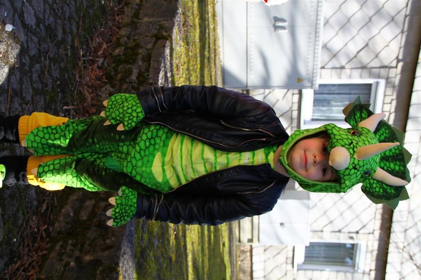 15 Jahre Karneval in Haynrode