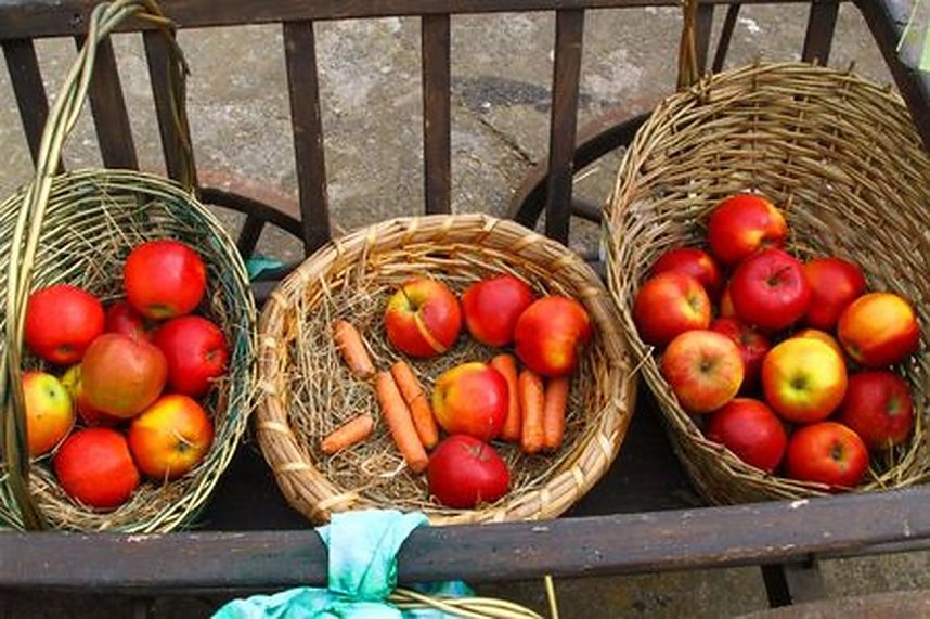 Reitturnier in Immenrode