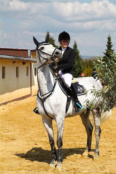 Reitturnier in Immenrode