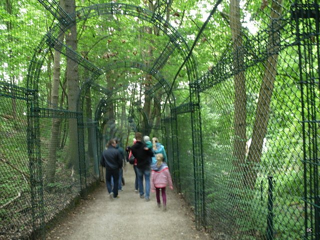 B&auml;renparkfest mit Oldtimershow