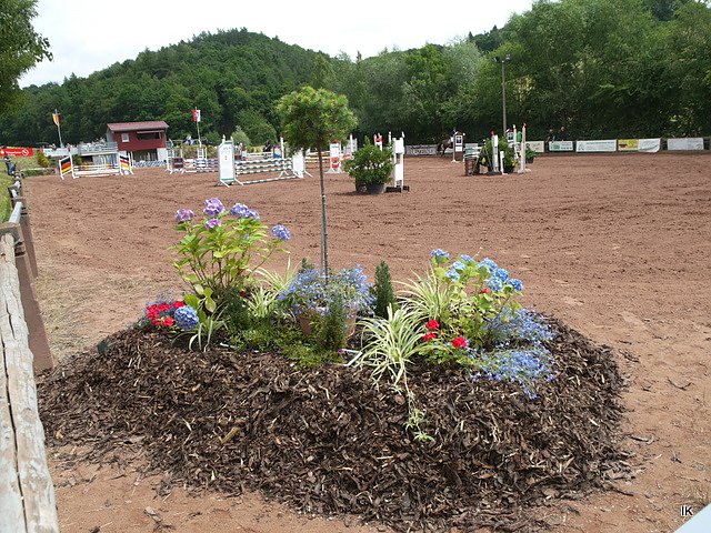 Reitturnier 2014 in Uder