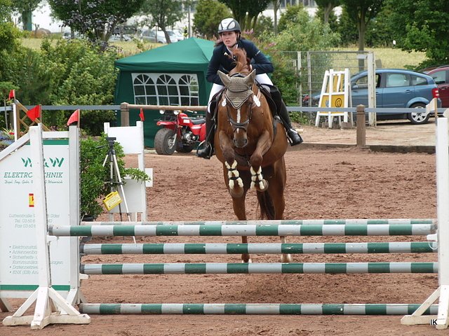 Reitturnier 2014 in Uder