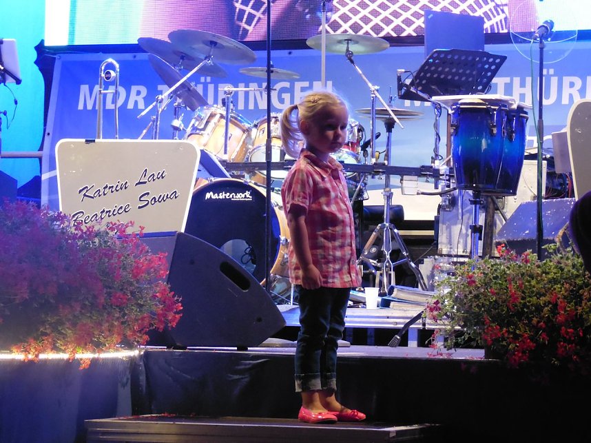 Sommernachtsball in Heiligenstadt