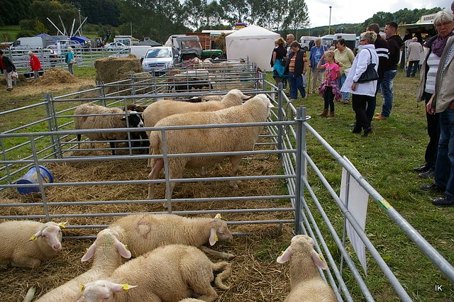 Er&ouml;ffnung des Bauernmarktes in Kallmerode