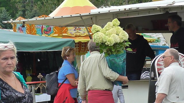 Erster Tag Bauernmarkt in Kallmerode