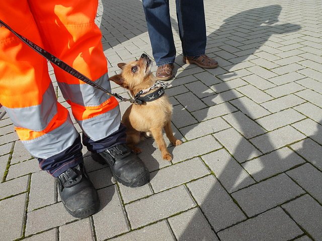 Eichsfelder Feuerwehrtag