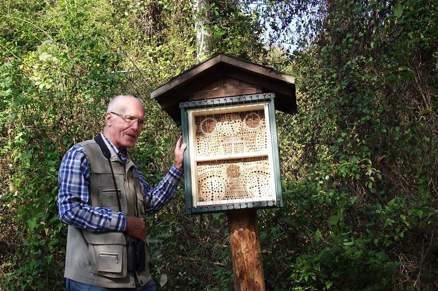 F&uuml;r den B&auml;renpark zimmerte Wilhelm Roth ein Waldbienenvermehrungshaus mit 900 Wohnungen.