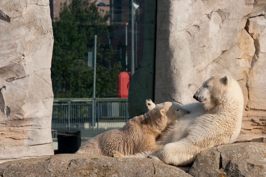Besuch im Zoo am Meer