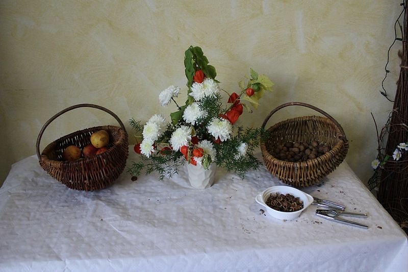 Bossel-Meister kommen aus K&ouml;then