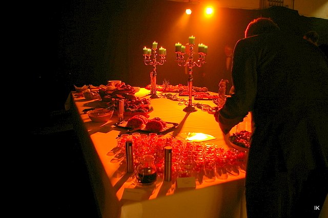 9. &Auml;rzte- und Apothekerball in Heiligenstadt