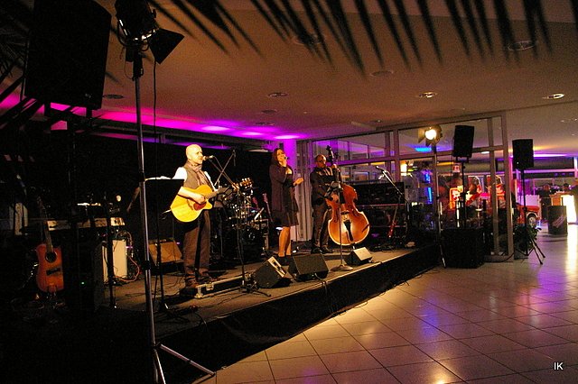 9. &Auml;rzte- und Apothekerball in Heiligenstadt