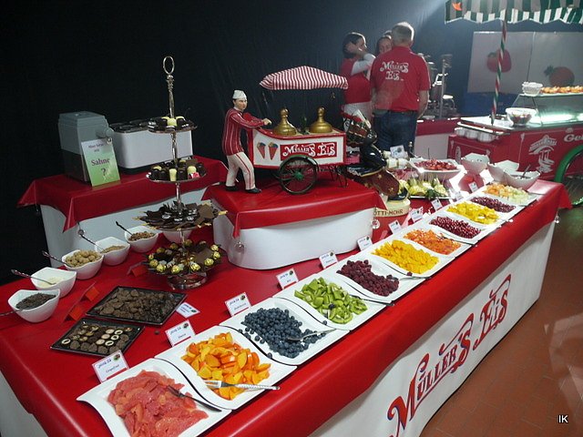 9. &Auml;rzte- und Apothekerball in Heiligenstadt