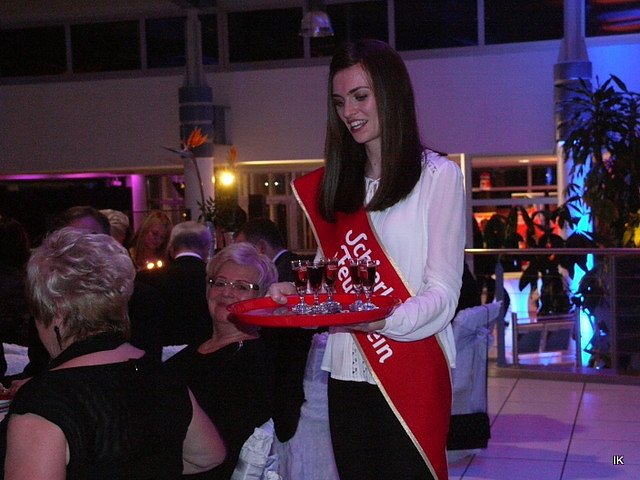 9. &Auml;rzte- und Apothekerball in Heiligenstadt