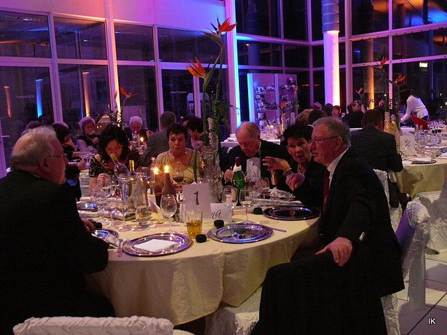 9. &Auml;rzte- und Apothekerball in Heiligenstadt