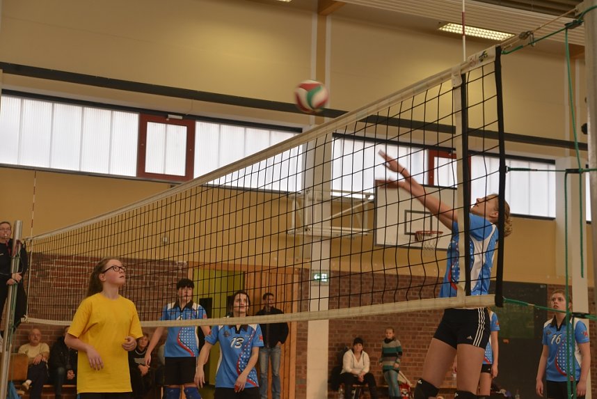 Volleyball in Nordhausen
