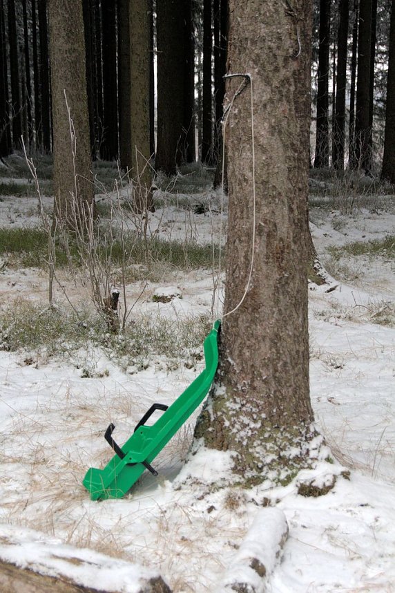 Schlittenhunderennen in Benneckenstein