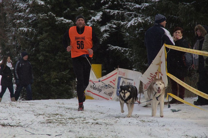 Schlittenhunderennen in Benneckenstein
