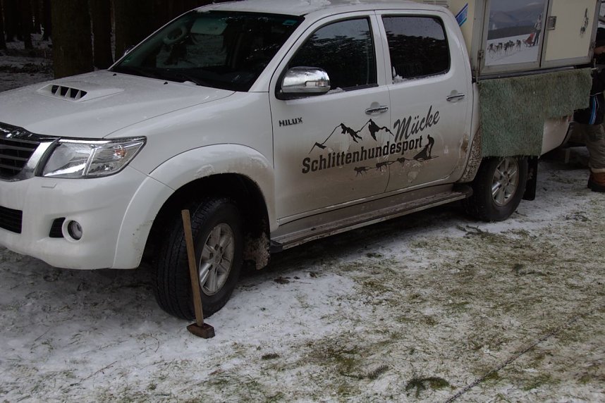 Schlittenhunderennen in Benneckenstein