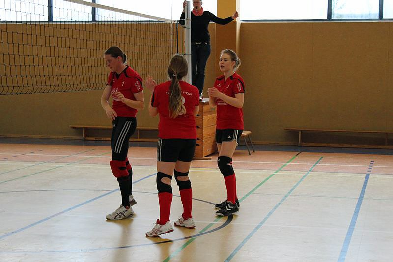 Neues vom Volleyball