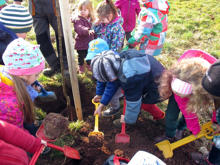 Pflanzaktion in Neustadt