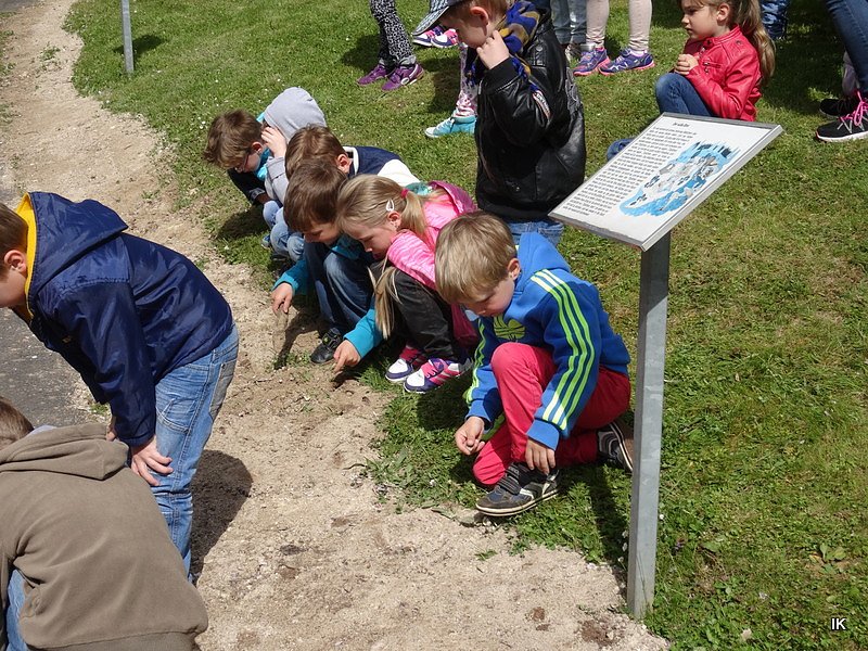 Wiederer&ouml;ffnung M&auml;rchenpark