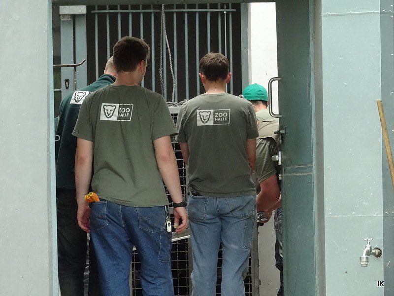 B&auml;rin Conny zieht nach Worbis