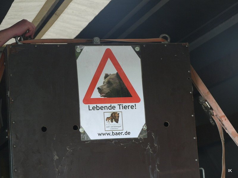 B&auml;rin Conny zieht nach Worbis