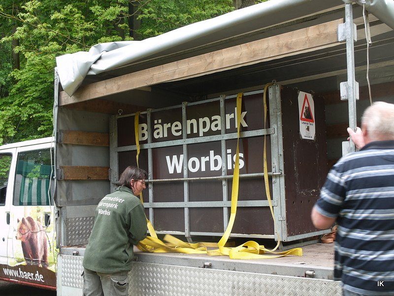 B&auml;rin Conny zieht nach Worbis