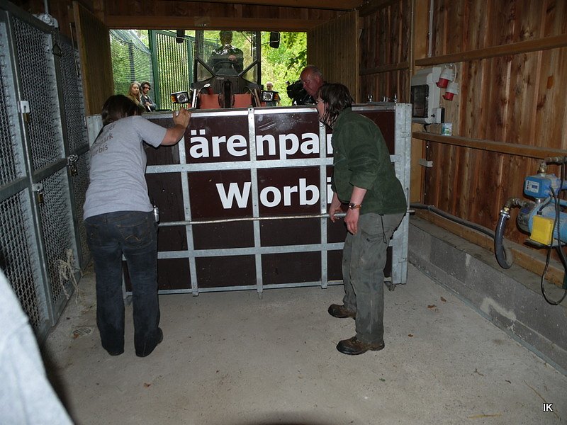 B&auml;rin Conny zieht nach Worbis