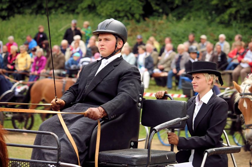 Pferde, Pferde und nochmals Pferde