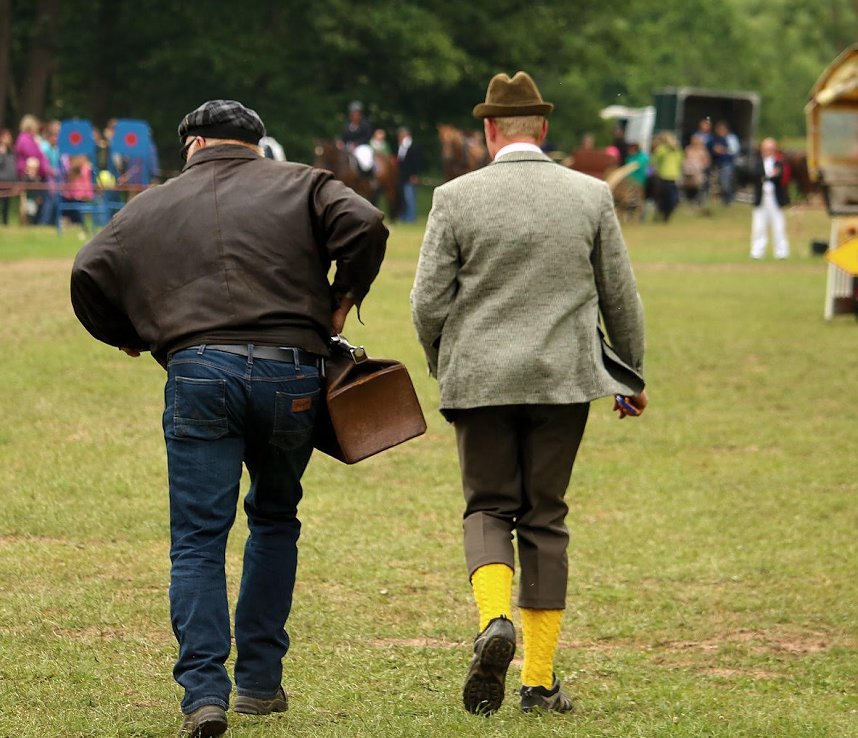 Pferde, Pferde und nochmals Pferde