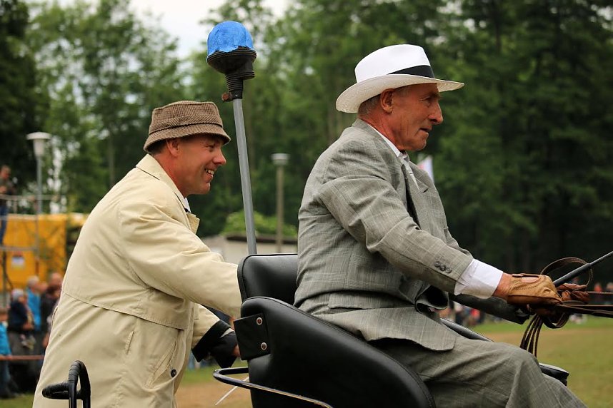 Pferde, Pferde und nochmals Pferde