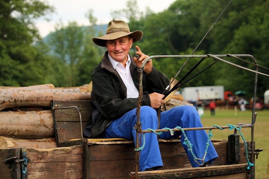 Pferde, Pferde und nochmals Pferde