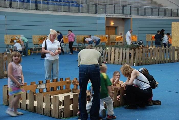 Welt der Reptilien in der Wiedingsburghalle