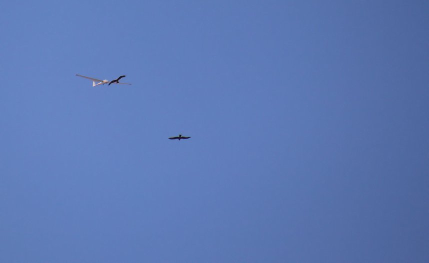 18. Flugtage in Hain